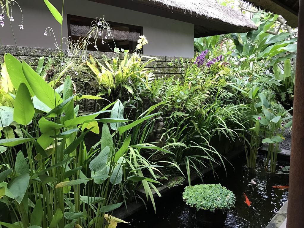 巴厘岛阿雅别墅 塞米亚克 外观 照片